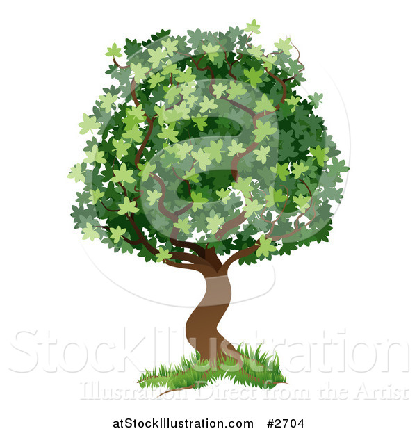 Vector Illustration of a Green Tree with Grass at the Base
