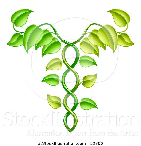 Vector Illustration of a Green Vine Forming an Alternative Medicine Caduceus