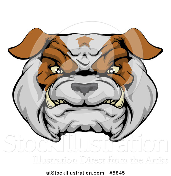 Vector Illustration of a Growling Aggressive Bulldog Face