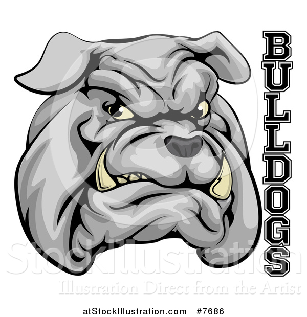 Vector Illustration of a Growling Gray Aggressive Bulldog Mascot Face with Text