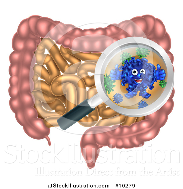Vector Illustration of a Happy Blue Gut Flora Character Giving Two Thumbs up Under a Magnifyig Glass over the Human Digestive Tract