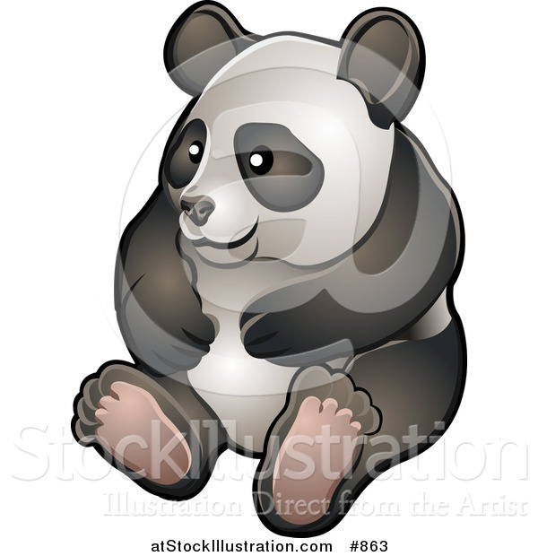 Vector Illustration of a Happy Giant Panda Bear (Ailuropoda Melanoleuca) Sitting on Its Hind Legs in a Zoo