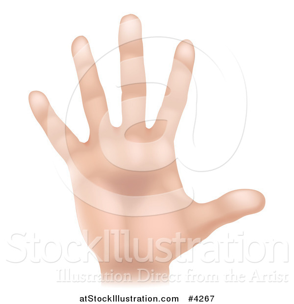 Vector Illustration of a Human Hand Holding up Five Fingers