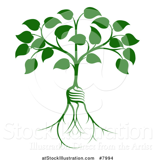 Vector Illustration of a Leafy Heart Shaped Tree with Light Bulb Shaped Roots