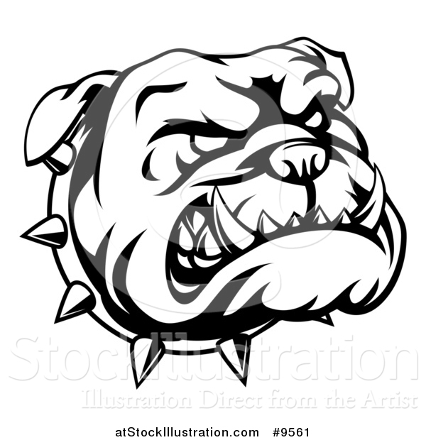Vector Illustration of a Lineart Angry Bulldog Face and Spiked Collar