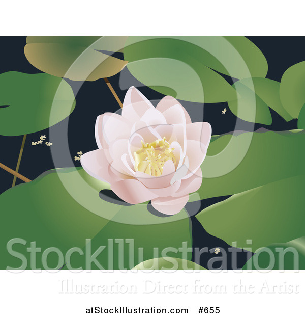 Vector Illustration of a Lotus Flower and Lily Pads