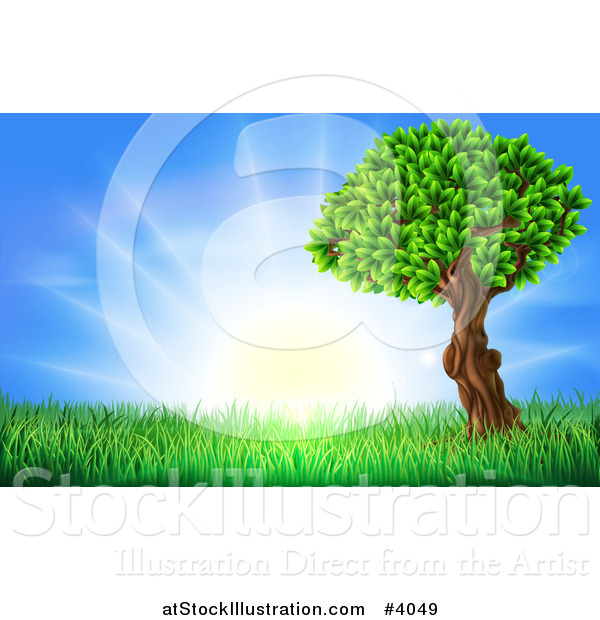 Vector Illustration of a Lush Tree and Grass at Sunrise