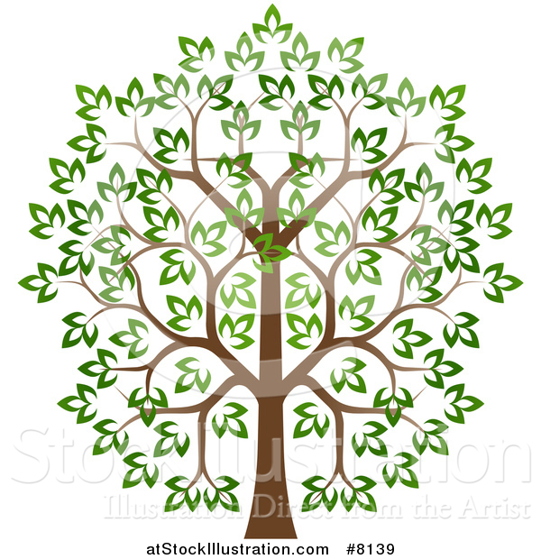 Vector Illustration of a Lush Tree with a Brown Trunk and Green Leaves