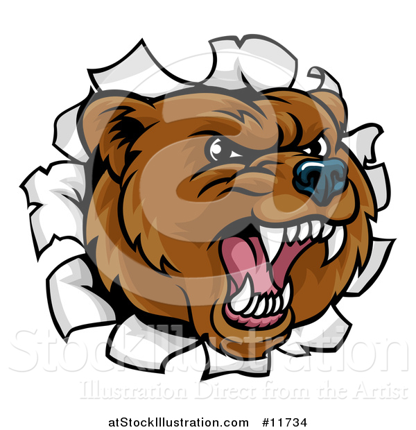 Vector Illustration of a Mad Grizzly Bear Mascot Head Breaking Through a Wall