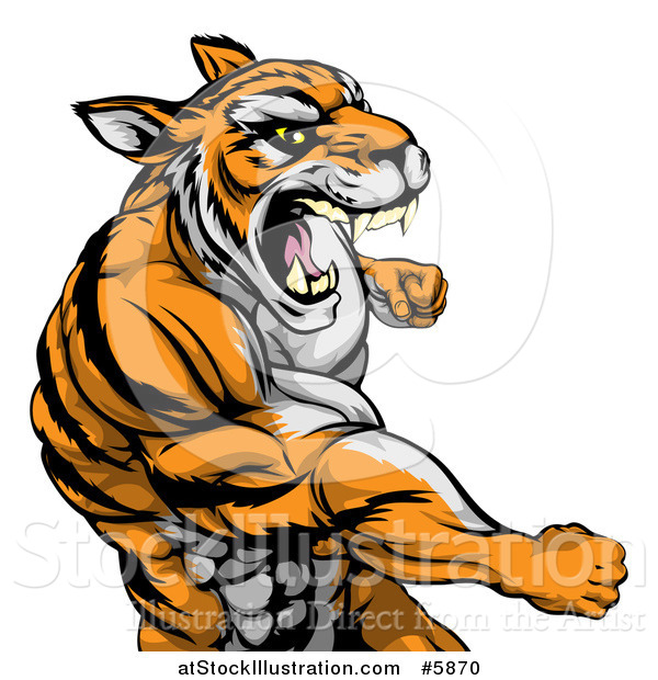 Vector Illustration of a Mad Muscular Tiger Man Punching