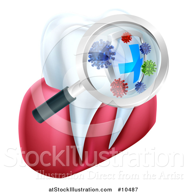 Vector Illustration of a Magnifying Glass over a Tooth, Displaying Bacteria and a Shield