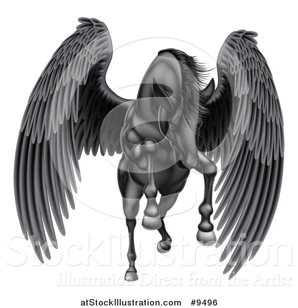 Vector Illustration of a Majestic Winged Black Horse Pegasus Flying Forward
