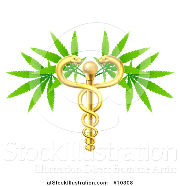 Vector Illustration of a Medical Marijuana Design with a Cannabis Plant Growing on a Gold Snake Caduceus