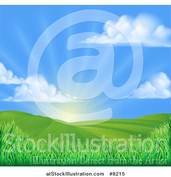 Vector Illustration of a Morning Sunrise over a Green Hilly Landscape with Puffy Clouds and Grasses