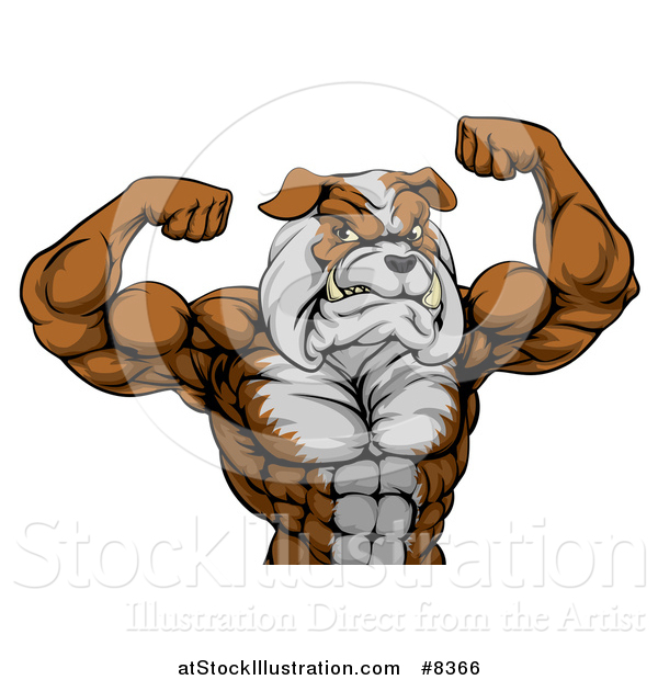Vector Illustration of a Muscular Bulldog Man Mascot Flexing, from the Waist up
