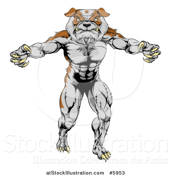 Vector Illustration of a Muscular Bulldog Man Mascot Standing Upright