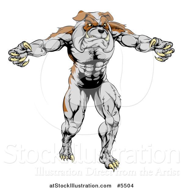 Vector Illustration of a Muscular Bulldog Mascot Standing Upright