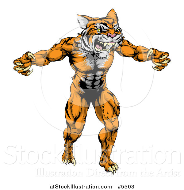 Vector Illustration of a Muscular Tiger Mascot Running Upright