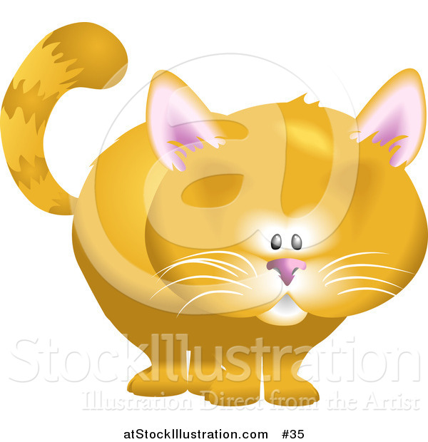 Vector Illustration of a Orange Cat