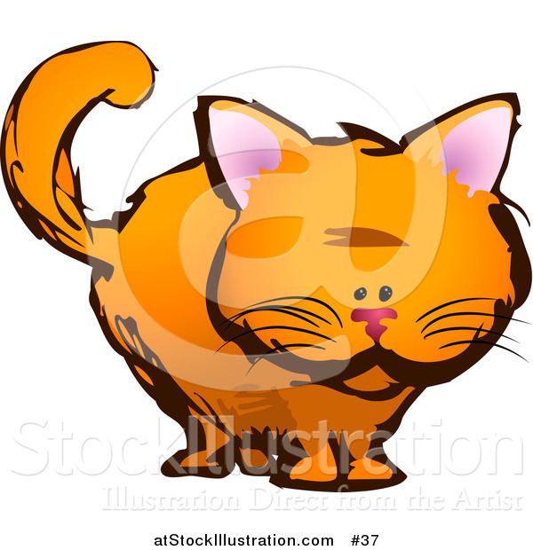 Vector Illustration of a Orange Cat Staring