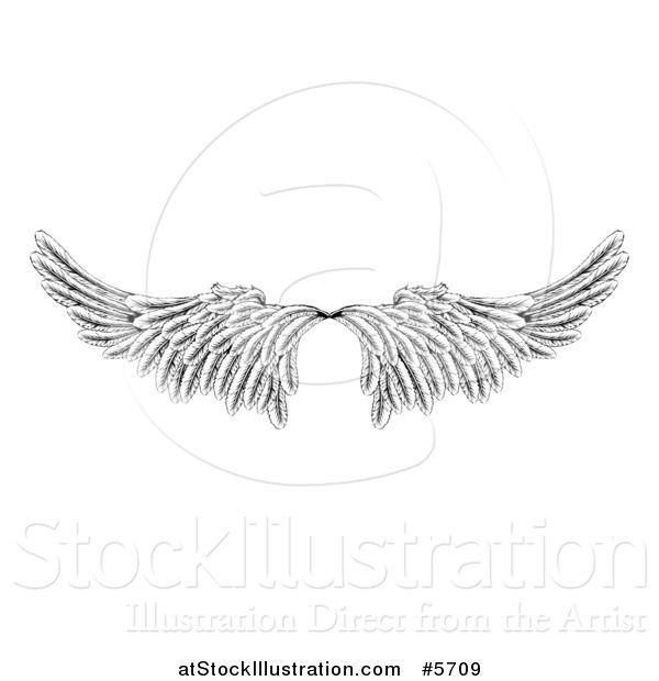Vector Illustration of a Pair of Black and White Angel or Eagle Wings