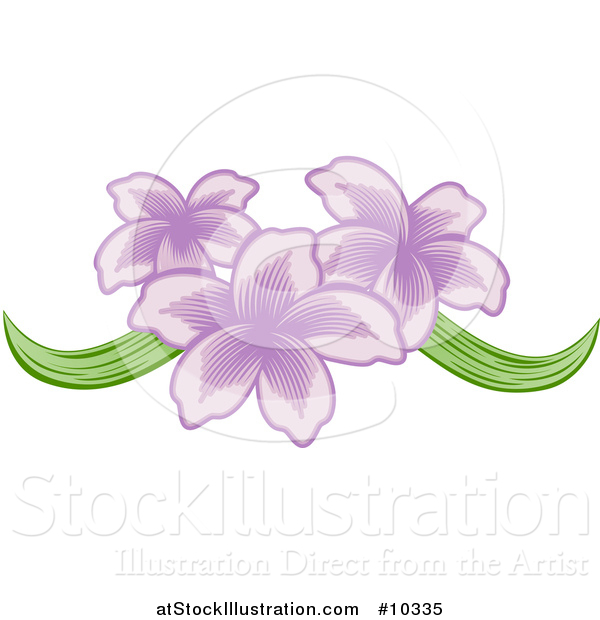 Vector Illustration of a Pretty Purple Orchid Flower Design