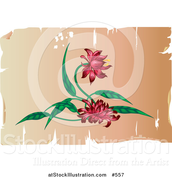 Vector Illustration of a Pretty Red Flowers on an Antique Parchment Background