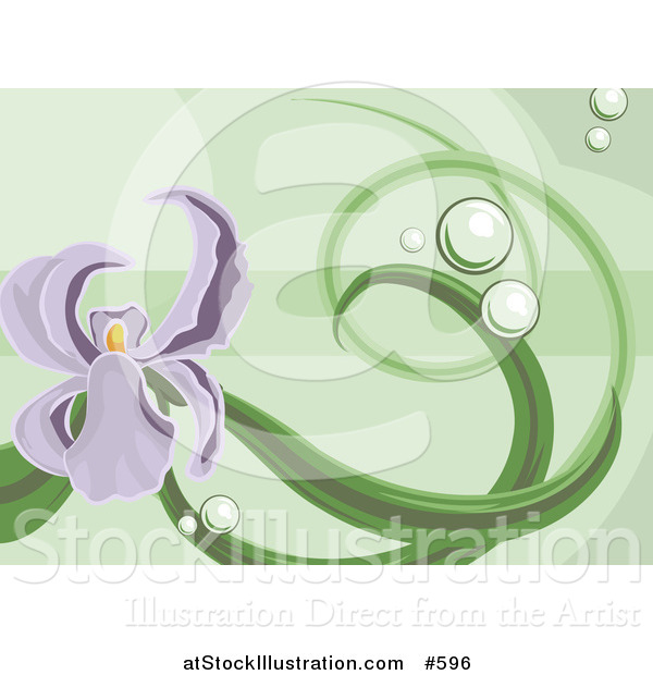 Vector Illustration of a Purple Iris Background on Green