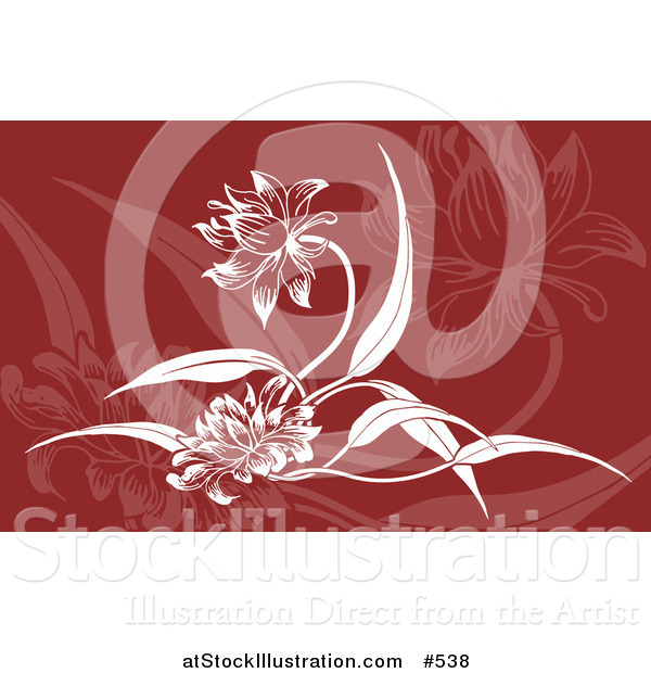 Vector Illustration of a Red and White Floral Background