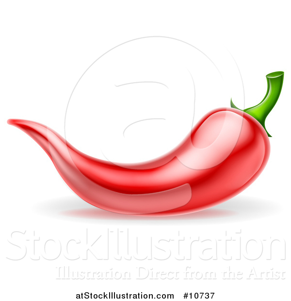 Vector Illustration of a Red Chile Pepper