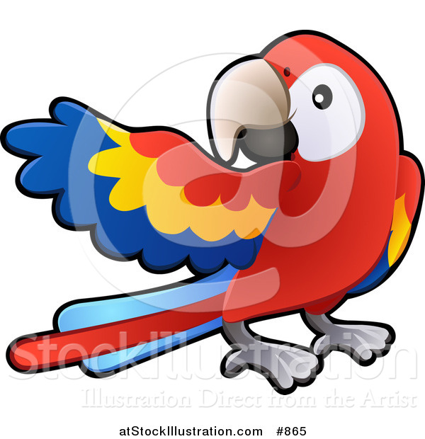 Vector Illustration of a Red, Yellow and Blue Scarlet Macaw Parrot Bird (Ara Macao) with a White Circle Around Its Eye