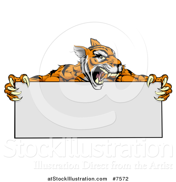 Vector Illustration of a Roaring Aggressive Tiger Sports Mascot Holding a Blank Wide Sign