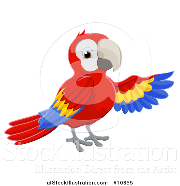Vector Illustration of a Scarlet Macaw Parrot Presenting with a Wing