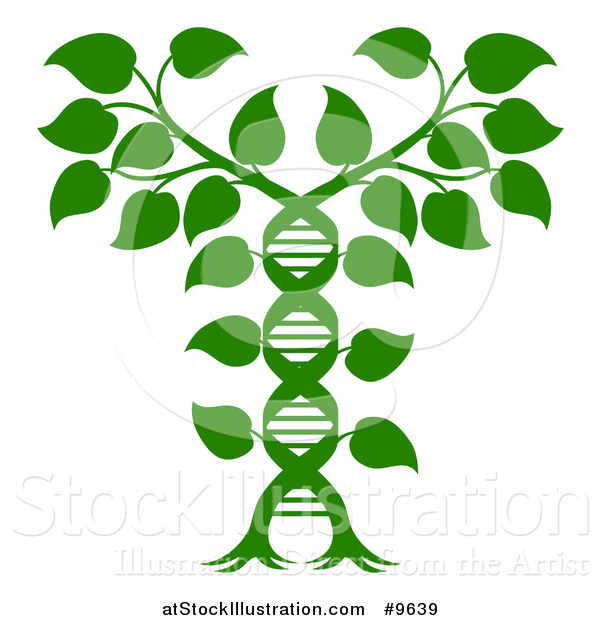 Vector Illustration of a Silhouetted Green Plant Forming a Dna Caduceus