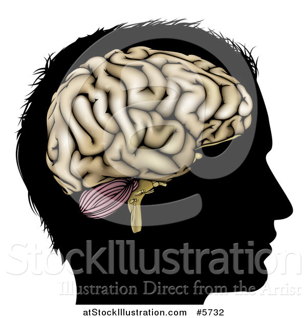 Vector Illustration of a Silhouetted Man's Head with a Visual Brain