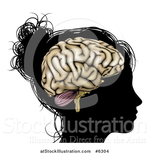 Vector Illustration of a Silhouetted Woman's or Girl's Head with a Visible Brain