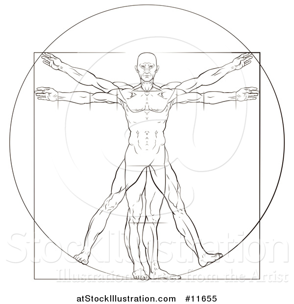 Vector Illustration of a Sketch of Leonard Da Vincis Vitruvian Man