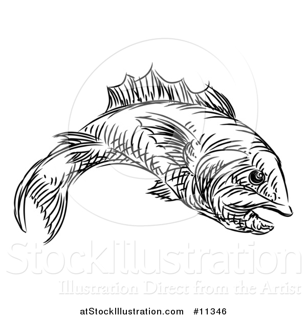 Vector Illustration of a Sketched Black and White Fish