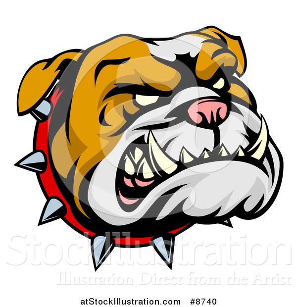 Vector Illustration of a Snarling Bulldog Mascot Face with a Spiked Collar