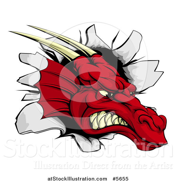 Vector Illustration of a Snarling Fierce Red Dragon Mascot Head Breaking Through a Wall