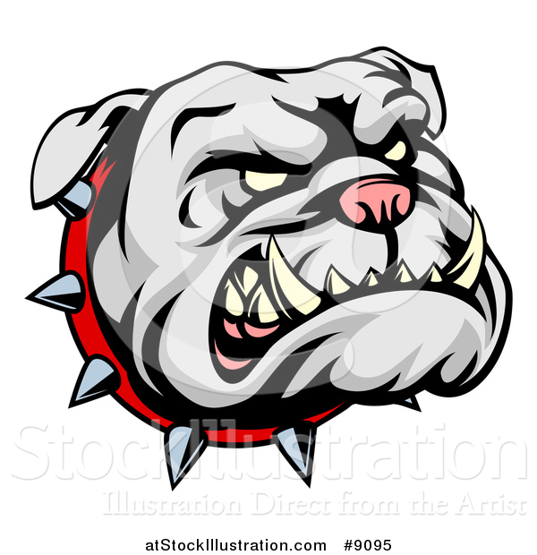 Vector Illustration of a Snarling Gray Bulldog Mascot Face with a Spiked Collar