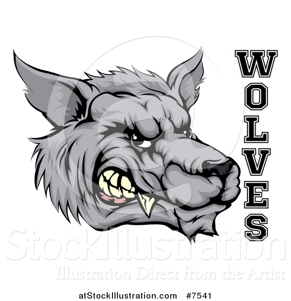 Vector Illustration of a Snarling Gray Wolf Mascot Head and Text