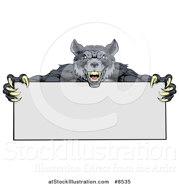 Vector Illustration of a Snarling Gray Wolf Mascot with Claws, Holding a Blank Sign