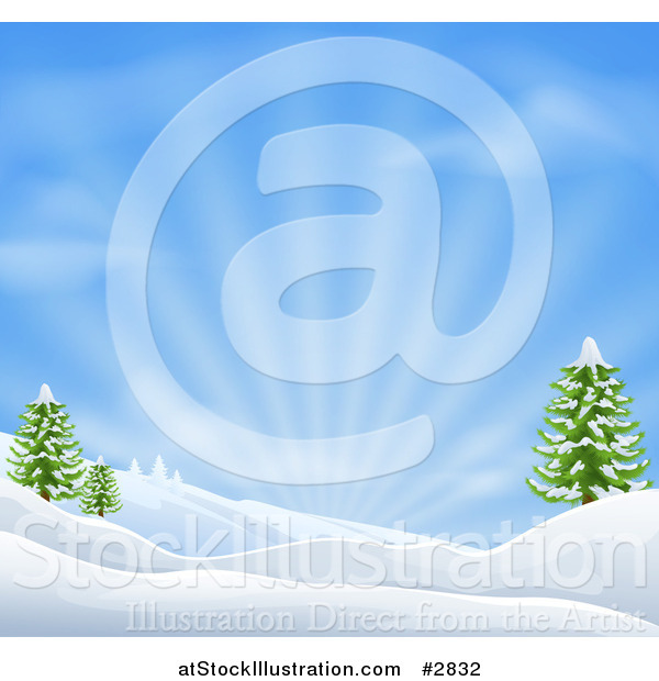 Vector Illustration of a Snowy Christmas Winter Background with Evergreens and Sunshine