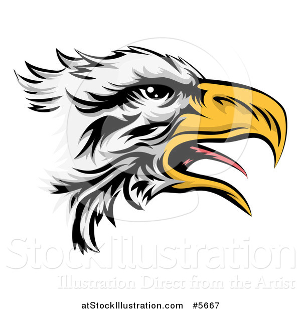 Vector Illustration of a Squawking Bald Eagle Head in Profile