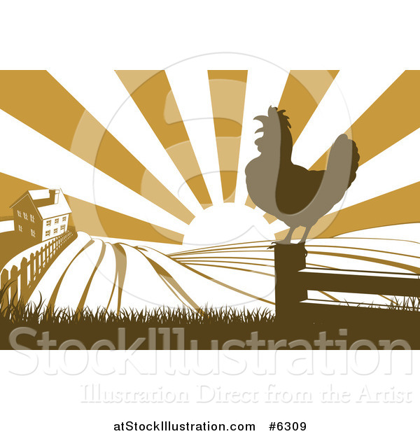 Vector Illustration of a Sunrise over a Brown Silhouetted Farm House, a Crowing Rooster and Fields