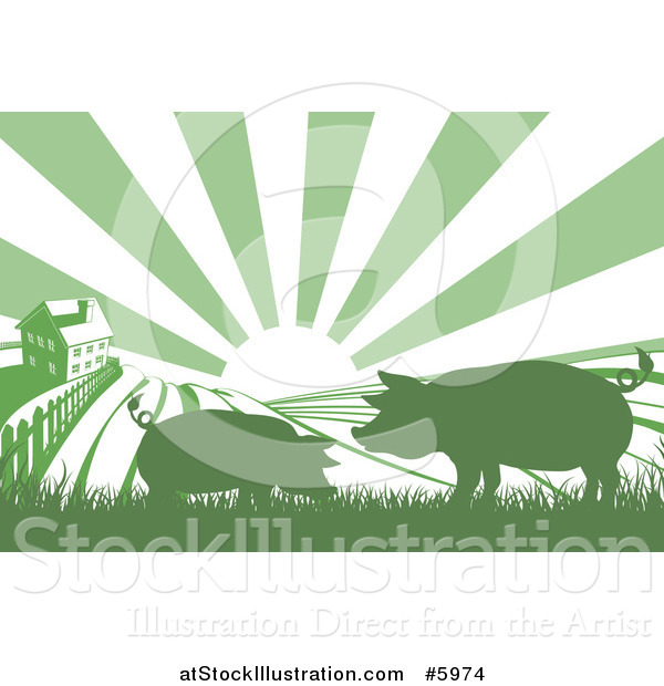 Vector Illustration of a Sunrise over a Green Silhouetted Farm House with Pigs and Fields