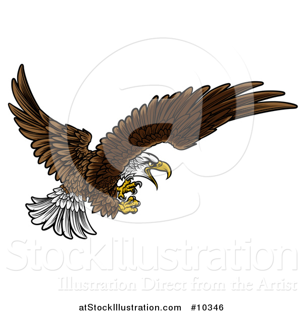 Vector Illustration of a Swooping Bald Eagle with Talons Extended