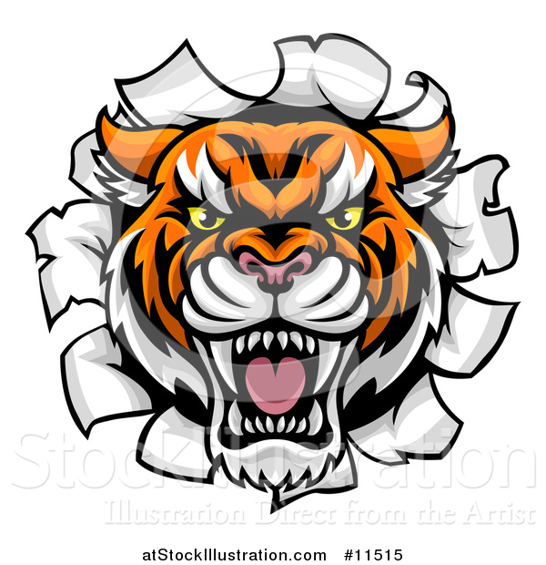 Vector Illustration of a Tiger Mascot Head Breaking Through a Wall