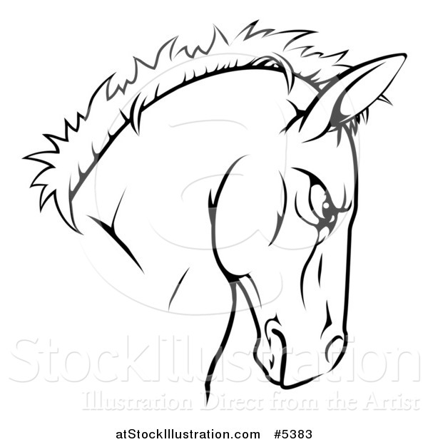 Vector Illustration of a Tough Black and White Horse Head Mascot